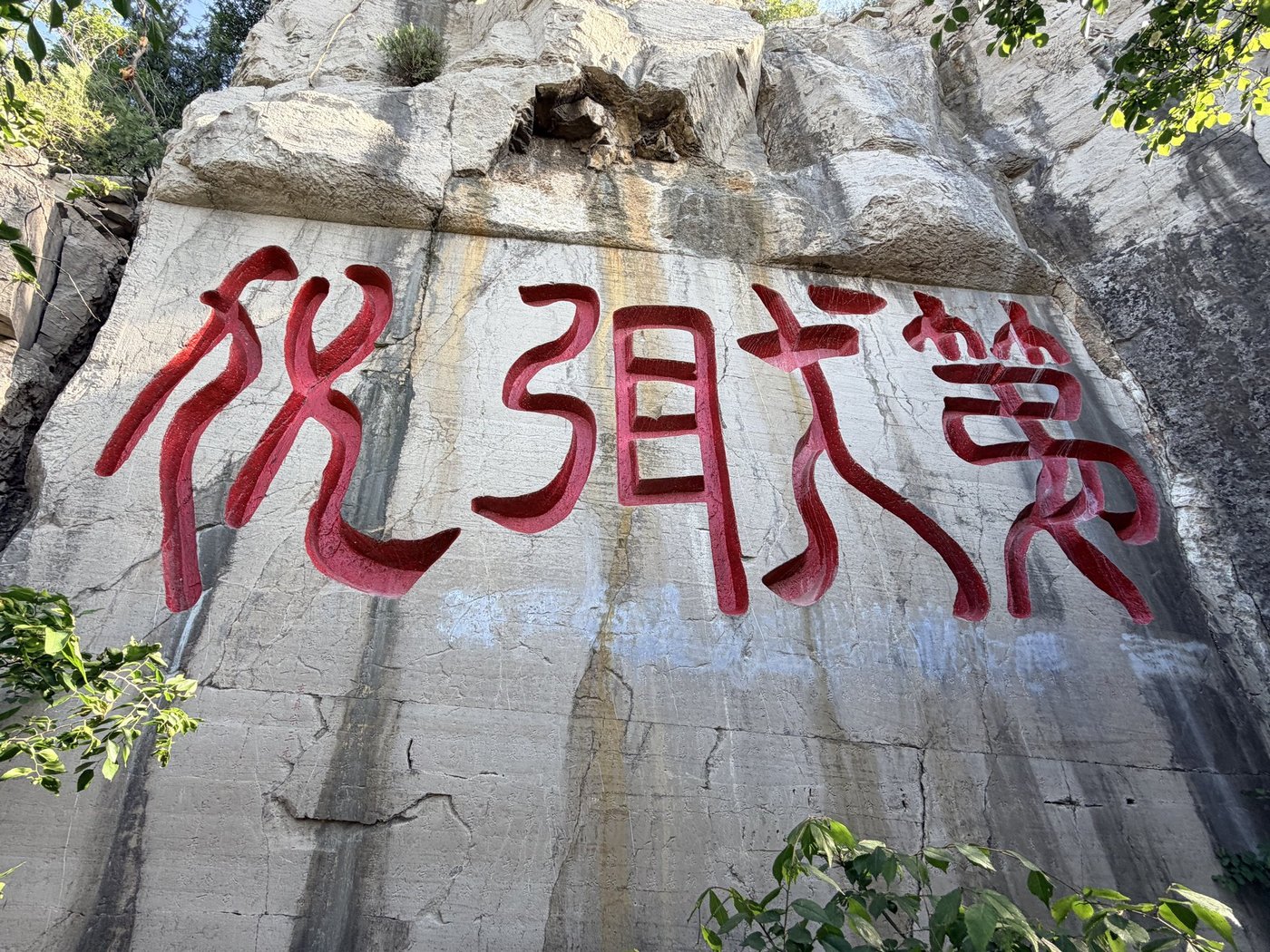 照片 2