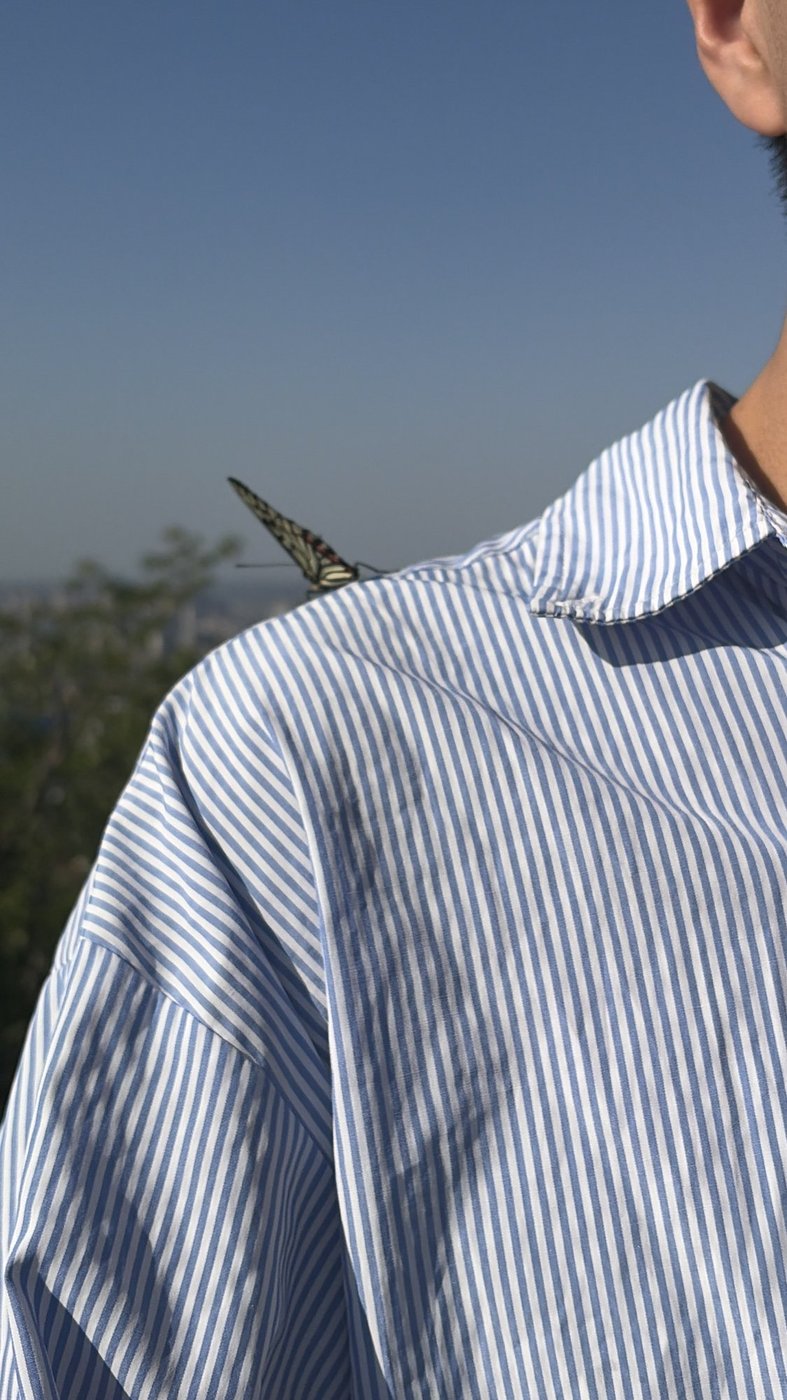 照片 3