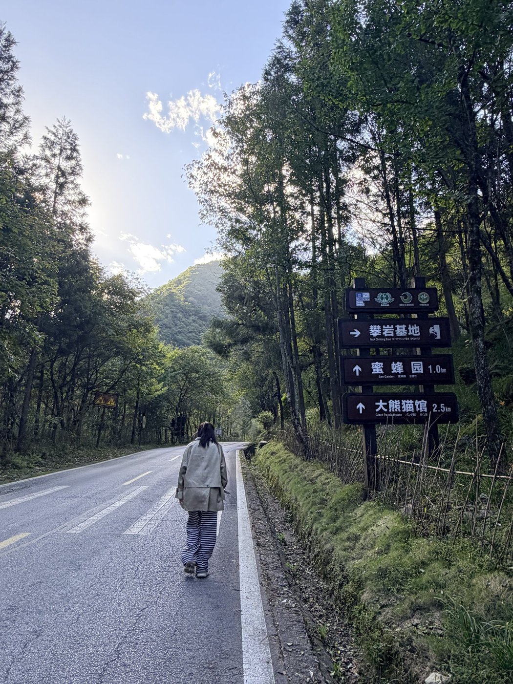 照片 1
