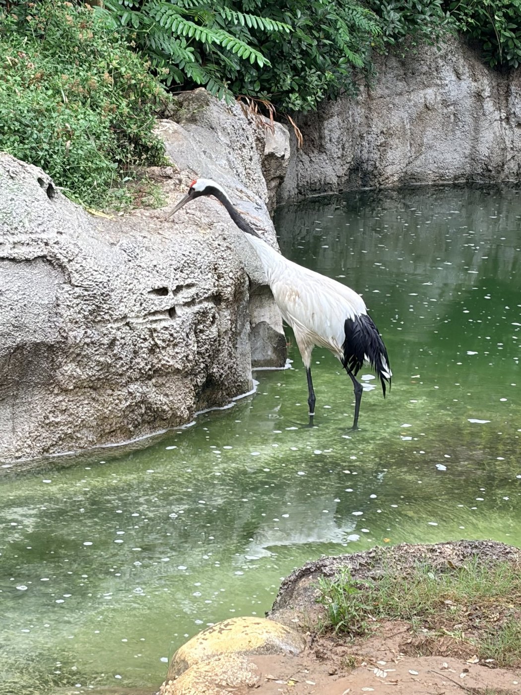 照片 2