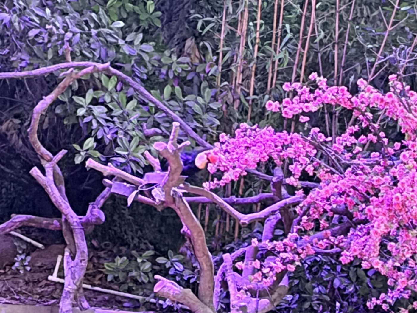 照片 2