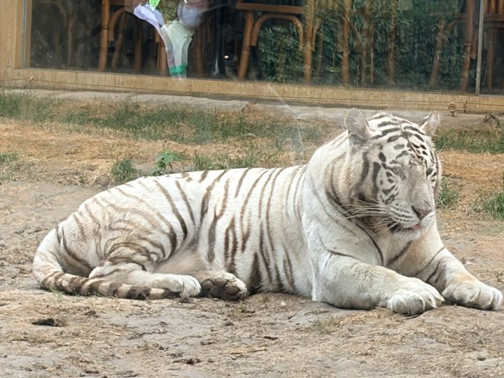 新乡·一段上坡与下坡